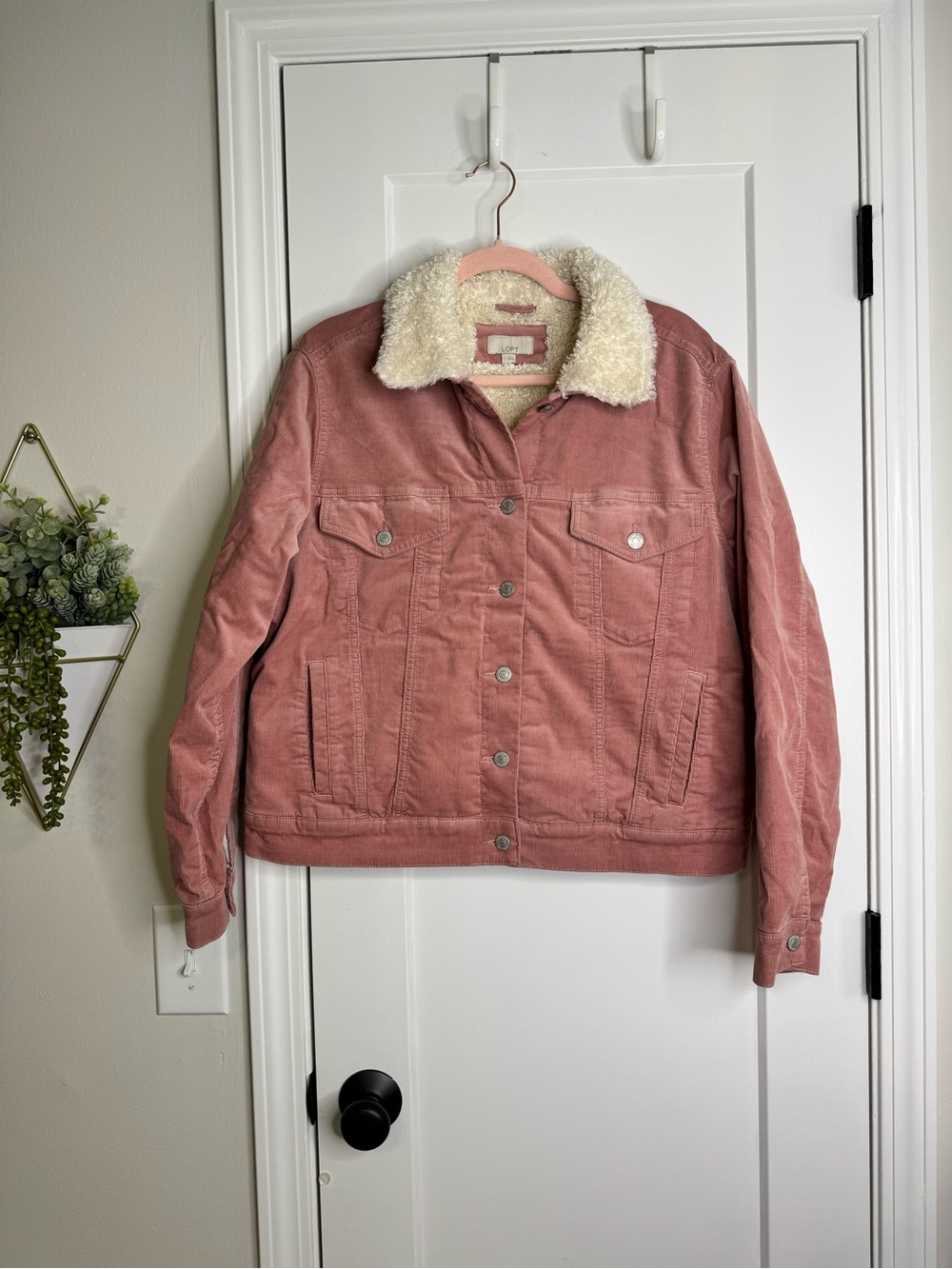 LOFT Teddy Bear Lined Corduroy Jacket